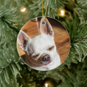 Ornamento De Cerâmica Chihuahua sonolento e relaxado língua Foto