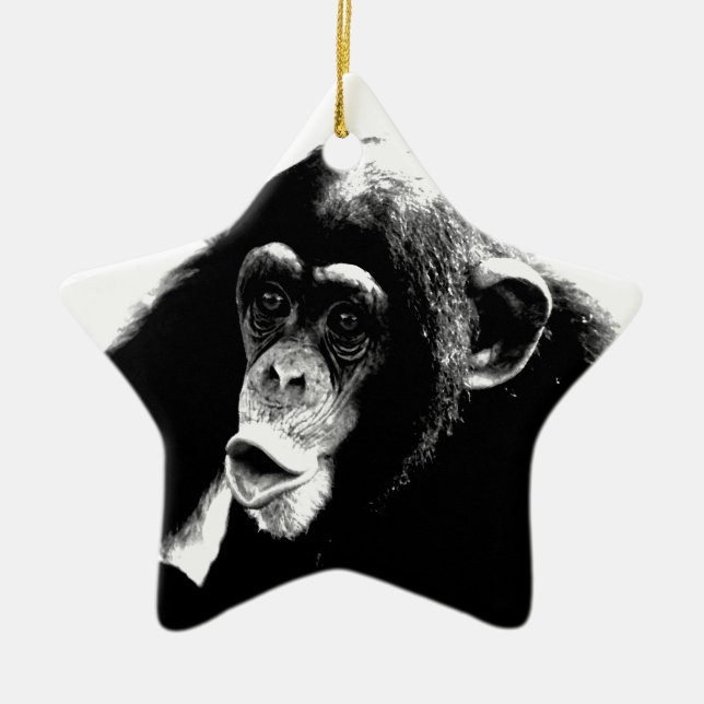 Ornamento De Cerâmica Chimpanzé Branco Preto (Frente)
