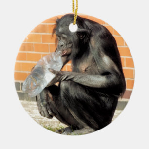 ORNAMENTO DE CERÂMICA CHIMPANZÉ ENGRAÇADO