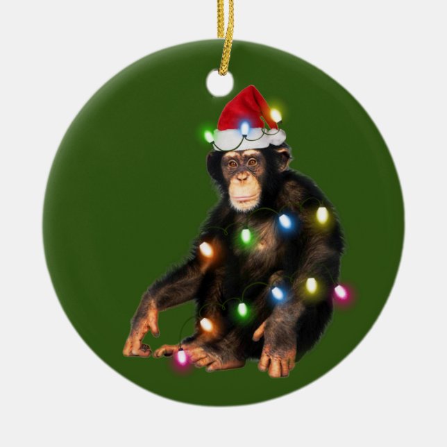 Ornamento De Cerâmica Chimpanzés com Luzes de Chapéu Natal (Frente)