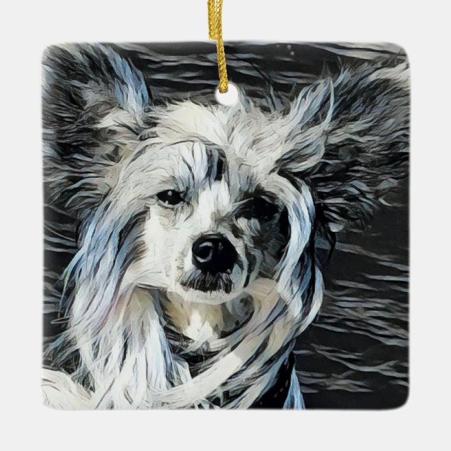 Ornamento De Cerâmica Chinese Crested (Frente)