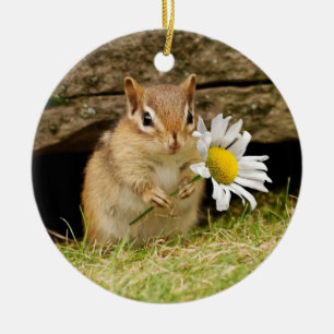 Ornamento De Cerâmica Chipmunk adorável do bebê com margarida