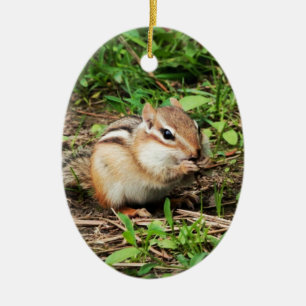 Ornamento De Cerâmica Chipmunk bonito