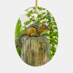 Ornamento De Cerâmica Chipmunk em um Posto de cerca