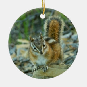 Ornamento De Cerâmica Chipmunk no Parque Nacional Glacier I
