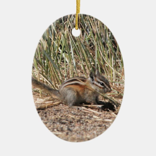 Ornamento De Cerâmica Chipmunk ocupado (Frente)