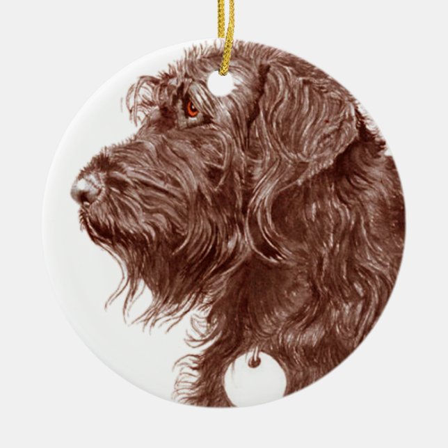 Ornamento De Cerâmica Chocolate Labradoodle (Frente)