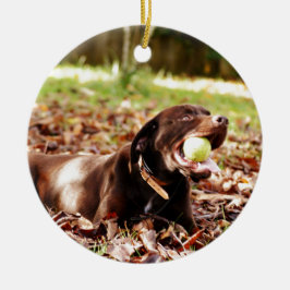 Ornamento De Cerâmica Chocolate Labrador Brincando Com Bola