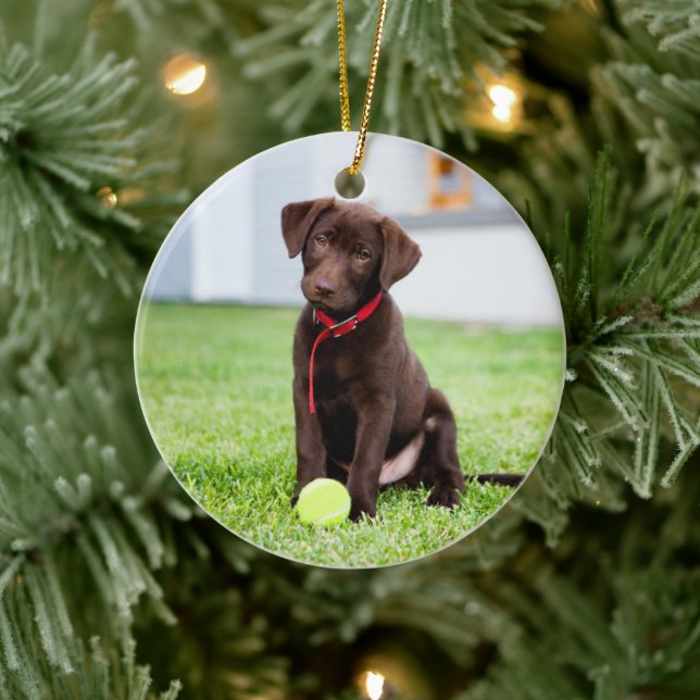 Ornamento De Cerâmica Chocolate Labrador Puppy Com Bola De Tênis (Árvore)