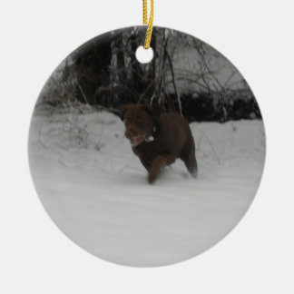 Ornamento De Cerâmica Chocolate labrador retriever na neve