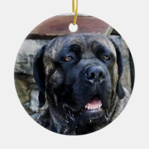 Ornamento De Cerâmica cinza de córso da cana