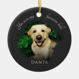 Ornamento De Cerâmica Cinza de Fotografia do Memorial Pet Personalizado