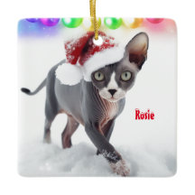 Cinza e Sphynx Branco Natal