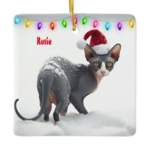 Cinza e Sphynx Branco Natal