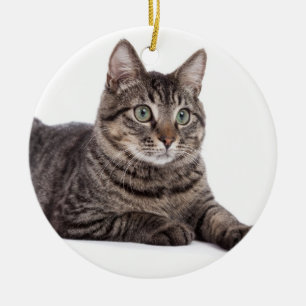 Ornamento De Cerâmica Cinza Tabby Cat