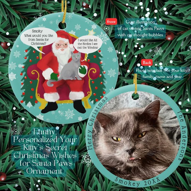 Ornamento De Cerâmica Cinzas Engraçadas Visitam Papais noeis com Desejo  (A Gray Cat tells Santa Paws she wants ? for Christmas? Add her special wishes and picture)