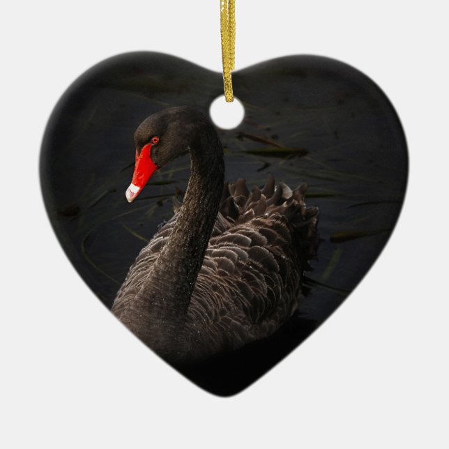 Ornamento De Cerâmica Cisne Negro (Frente)