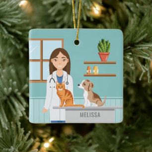 Ornamento De Cerâmica Clínica Veterinária Mulher Veterinária Com Gato E