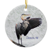 Clinton, NJ Excelente Blue Heron