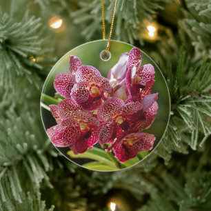 Ornamento De Cerâmica Cluster Orquídea Tropical de Vanda