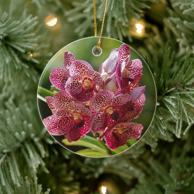 Ornamento De Cerâmica Cluster Orquídea Tropical de Vanda (Árvore)