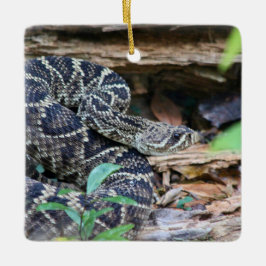 Ornamento De Cerâmica Cobra Cascavel na Natureza