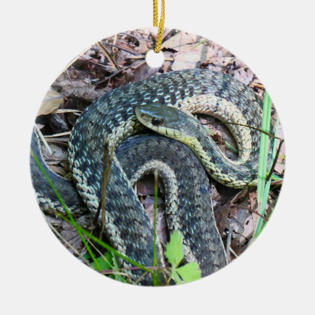 Ornamento De Cerâmica Cobra-d'água-do-leste em Cape Cod (Frente)