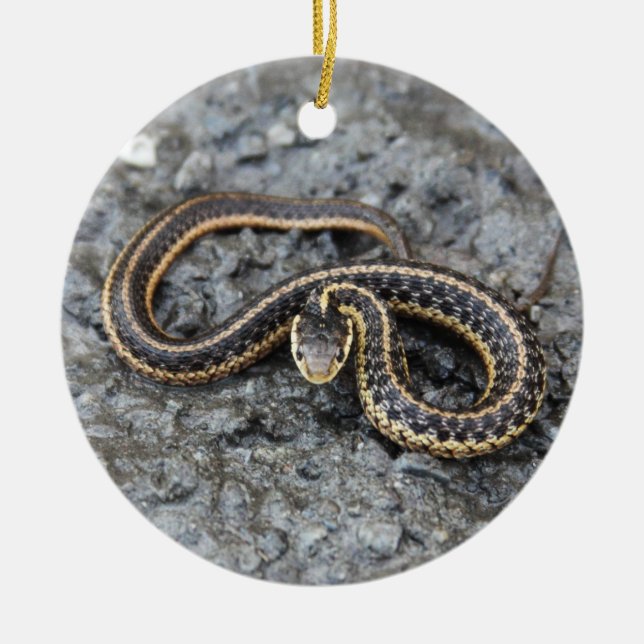 Ornamento De Cerâmica Cobra de liga (Frente)
