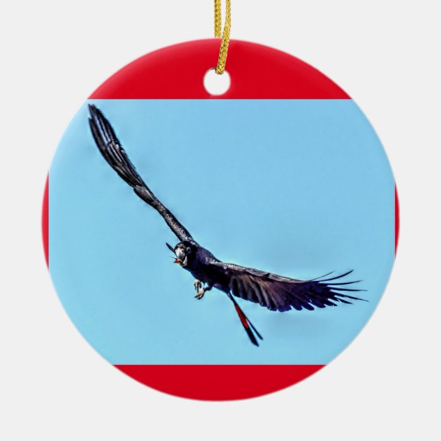 ORNAMENTO DE CERÂMICA COCKATOO PRETO QUEENSLAND RURAL AUSTRÁLIA (Frente)