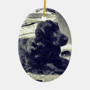 Ornamento De Cerâmica Cocker spaniel