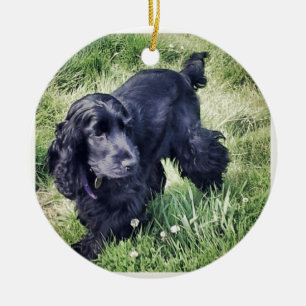 Ornamento De Cerâmica Cocker spaniel
