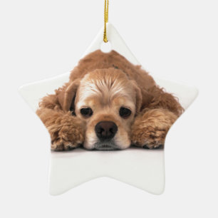 Ornamento De Cerâmica Cocker spaniel bonito