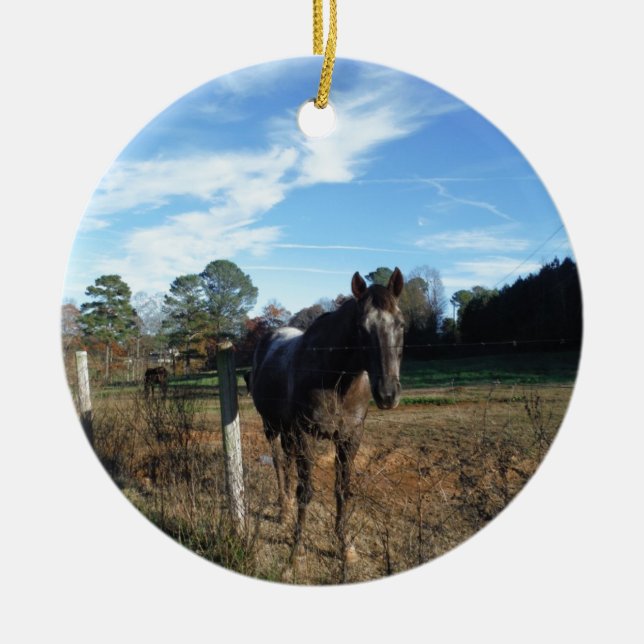 Ornamento De Cerâmica Coco e cavalo castanho creme (Frente)