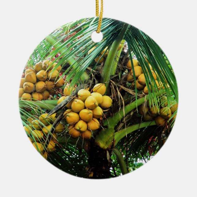 Ornamento De Cerâmica cocos na árvore (Frente)