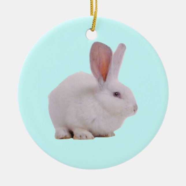 Ornamento De Cerâmica Coelhinho Bunny Kawaii Fofo (Frente)