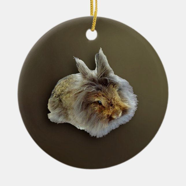 Ornamento De Cerâmica Coelho Leonado (Frente)