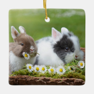 Ornamento De Cerâmica Coelhos de coelhinhos bonitos com flores