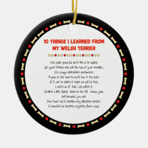 Ornamento De Cerâmica Coisas Engraçadas Que Aprendi Com Meu Welsh Terri