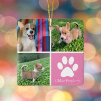 Colagem de Fotografias de Cão Personalizado, Bonit