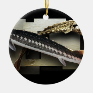 Ornamento De Cerâmica Colagem Stellate do esturjão 3D