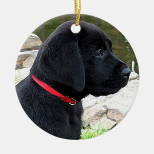 Ornamento De Cerâmica Colar Vermelho Pequeno - Puppy Preto - Labrador