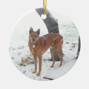 Ornamento De Cerâmica Coleção do Natal na memória do campeão