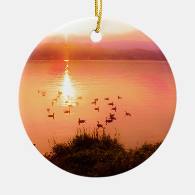 Ornamento De Cerâmica Coletor solar rosa e pêssego (Frente)