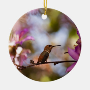 Ornamento De Cerâmica Colibri