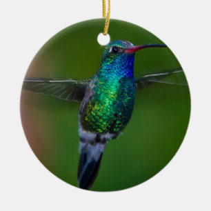 Ornamento De Cerâmica Colibri de flutuação