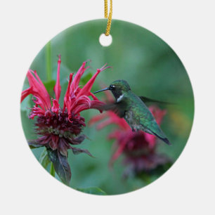 Ornamento De Cerâmica Colibri que alimenta em flores cor-de-rosa