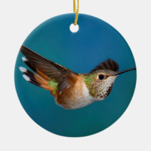 Ornamento De Cerâmica Colibri Rufous