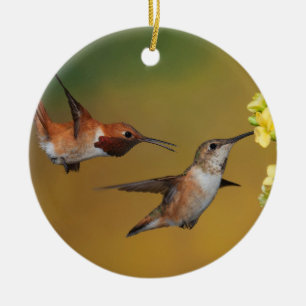 Ornamento De Cerâmica Colibri Rufous de flutuação