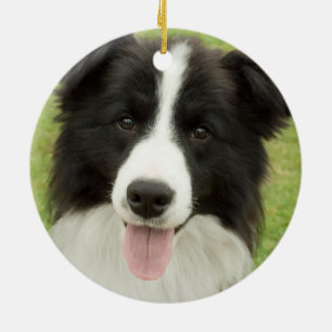 Ornamento De Cerâmica Collie de Borda