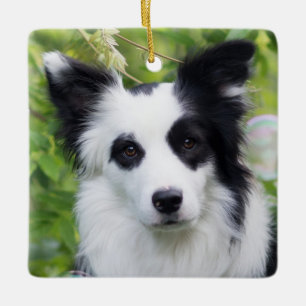 Ornamento De Cerâmica Collie Preto e Branco